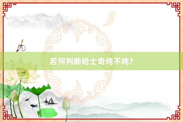 若何判断哈士奇纯不纯？