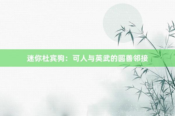 迷你杜宾狗：可人与英武的圆善邻接