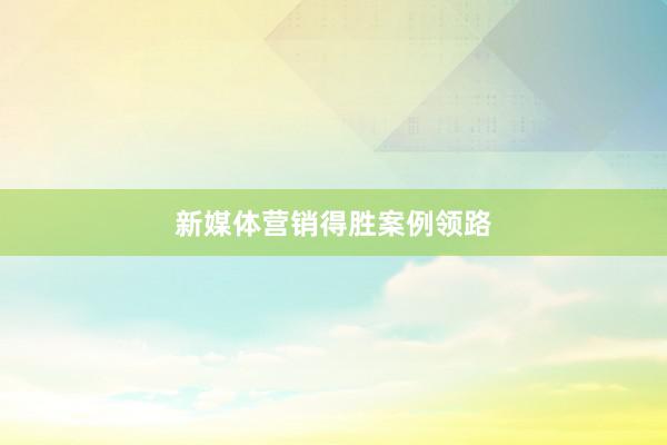 新媒体营销得胜案例领路